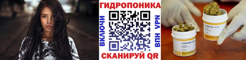 Бошки Шишки конопля  купить  цена  Ноябрьск 